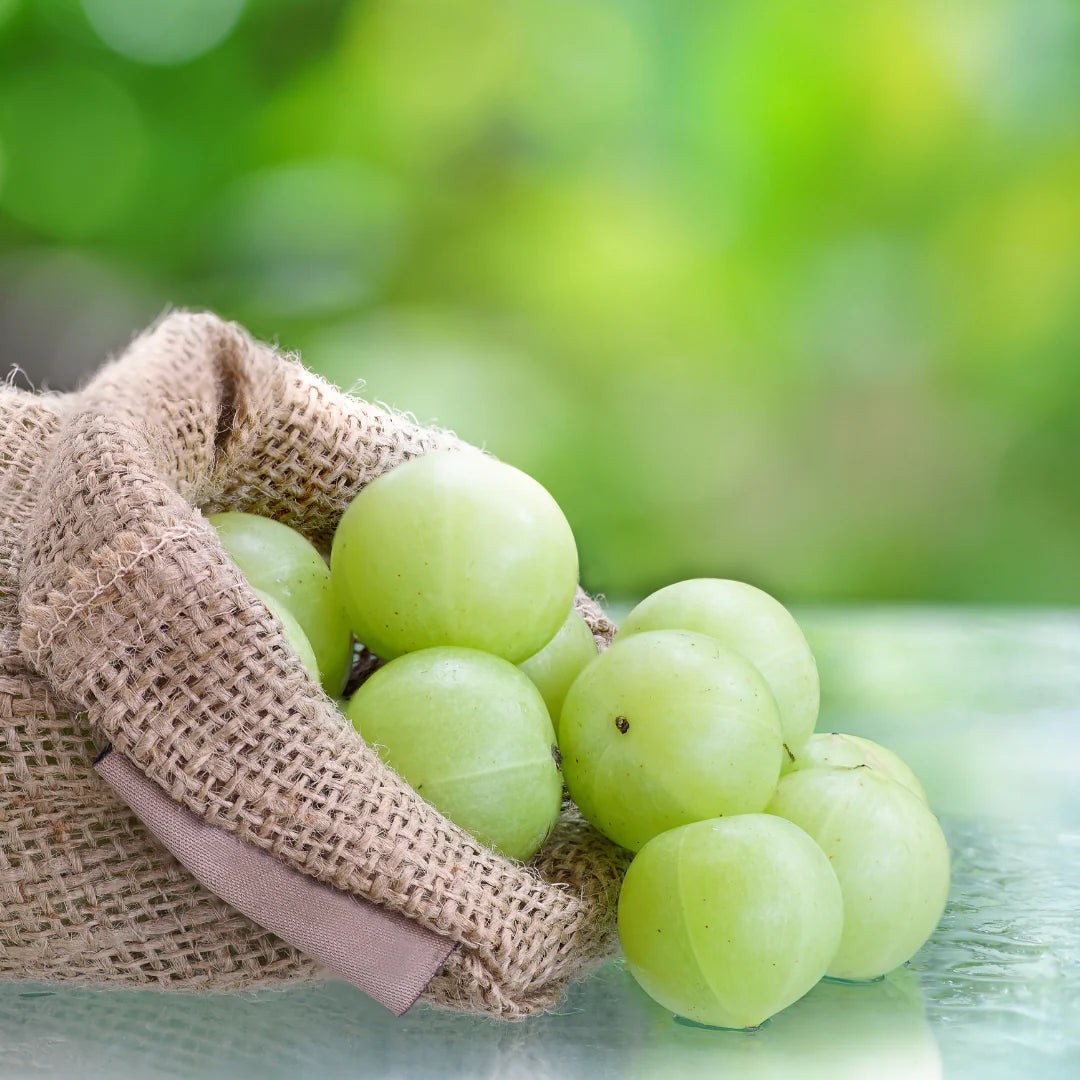 Fresh Amla