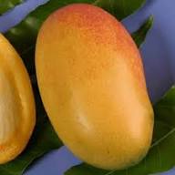 Orange Sorbet Mango