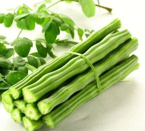 Moringa Products