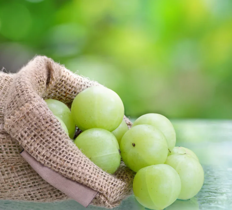 Amla Products