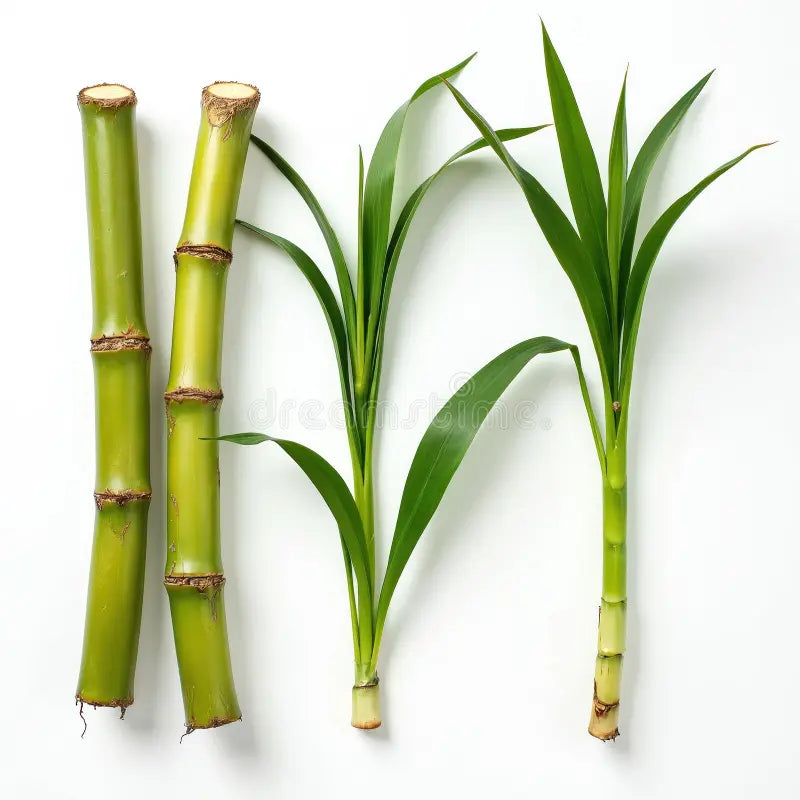 Sugarcane Products