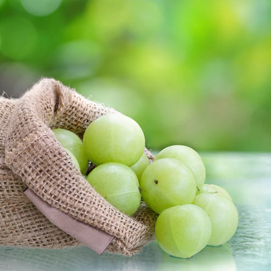Fresh Amla