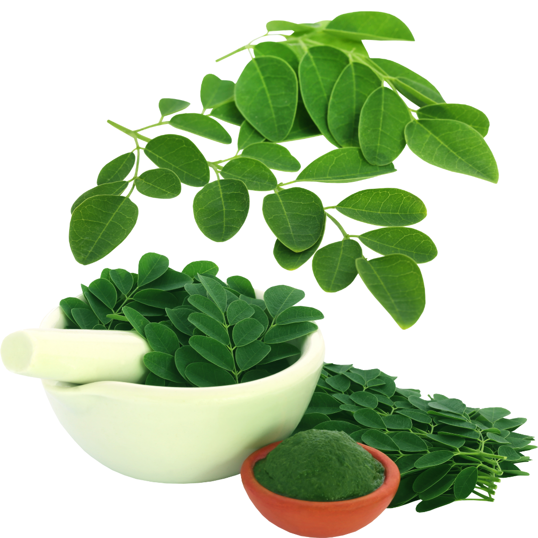 Moringa Leaf Powder