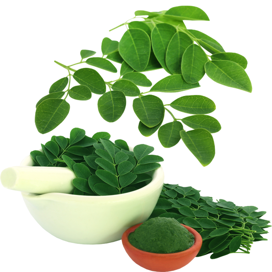 Moringa Leaf Powder