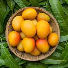 Panchkalasa Mango