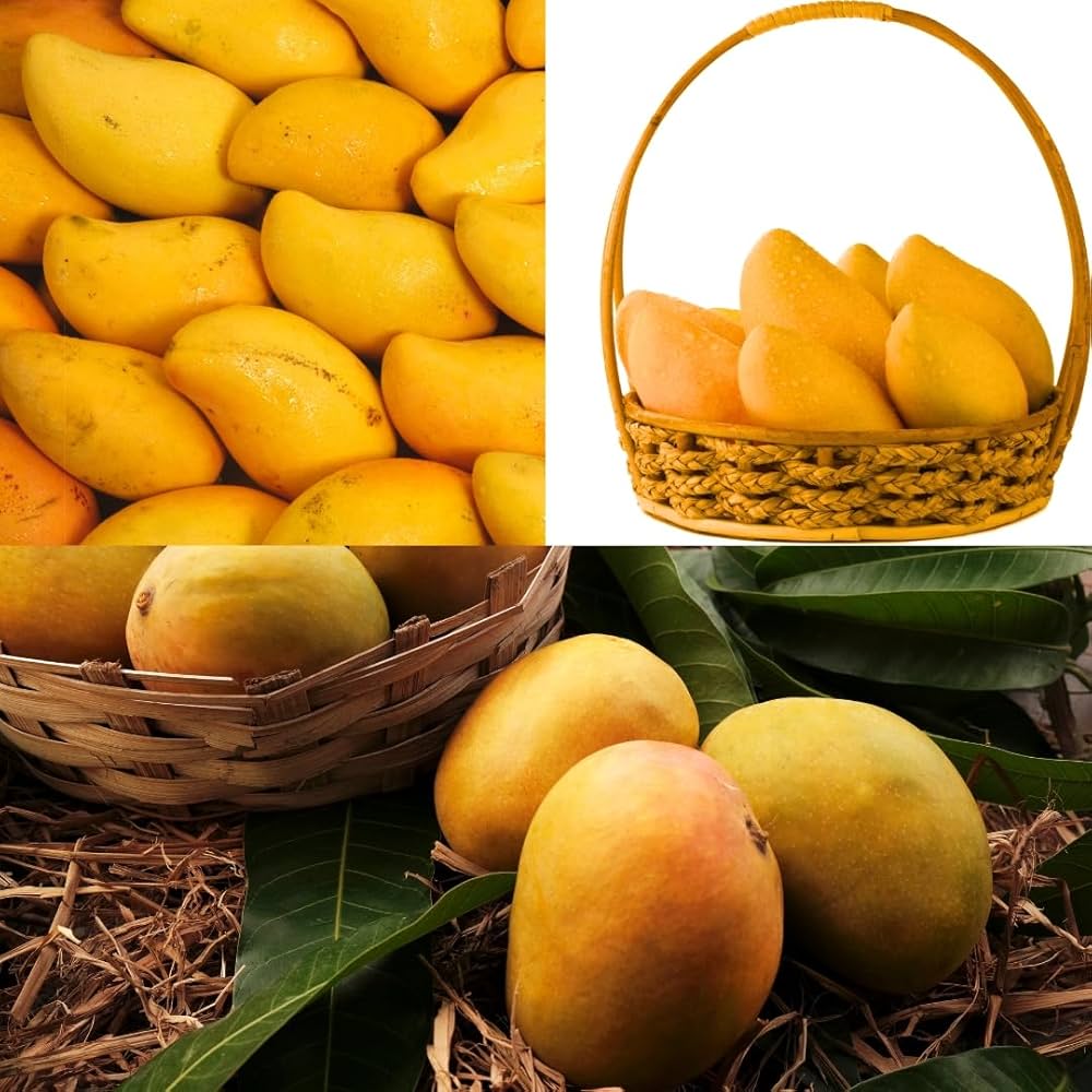 Super Alphonso Mango