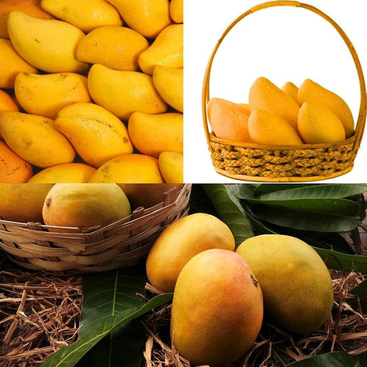 Super Alphonso Mango
