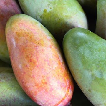 Valencia Pride Mango