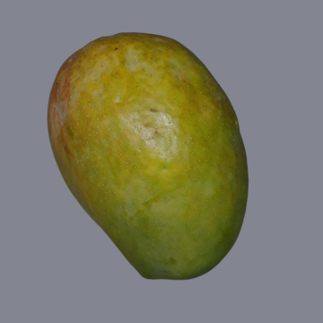 Ugly Betty Mango