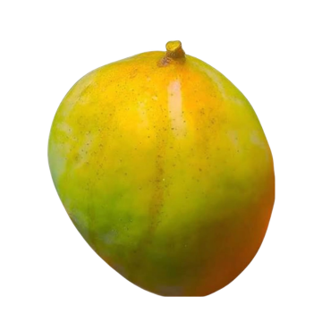 Sugarloaf Mango