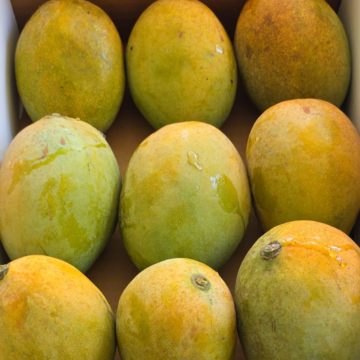 Carrie Mango